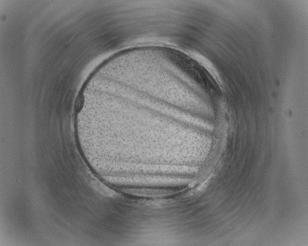 X0000076321288200610161634