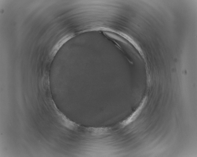 X0000076321289200610161634