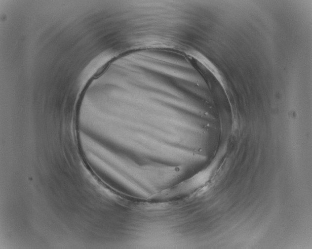 X0000076321293200610161634