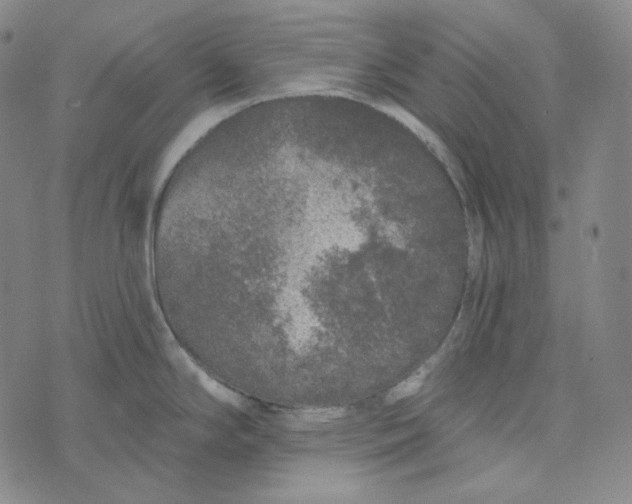 X0000076321294200610161634