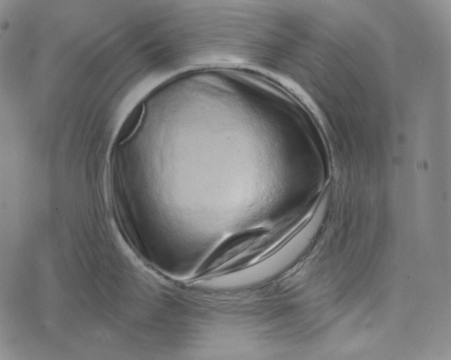 X0000076321295200610161634