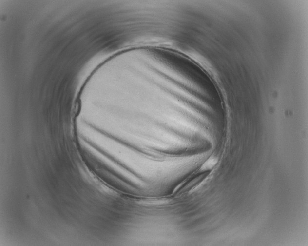 X0000076321296200610161634