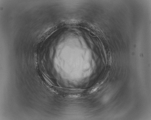 X0000076321301200610161633