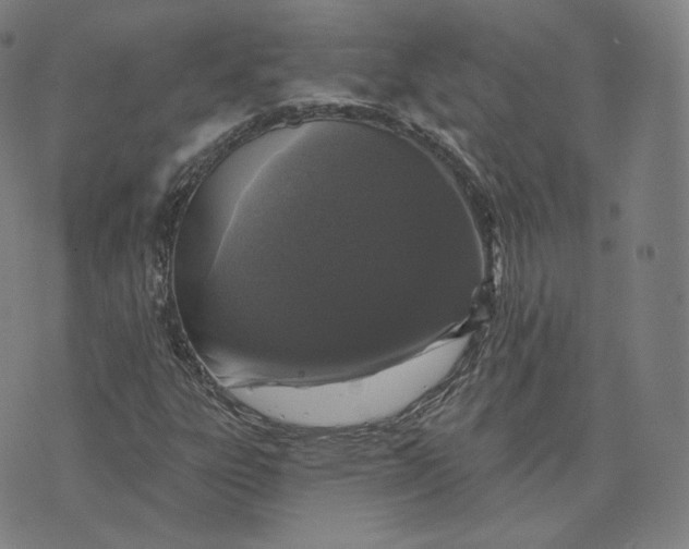 X0000076321303200610161634