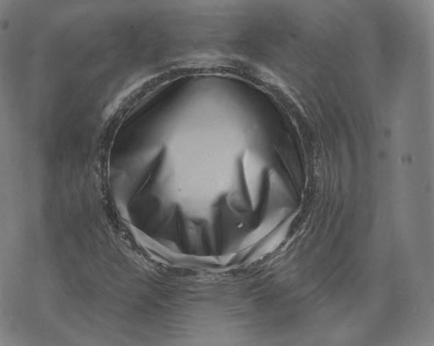 X0000076321304200610161634