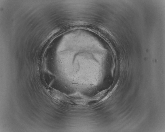 X0000076321305200610161634