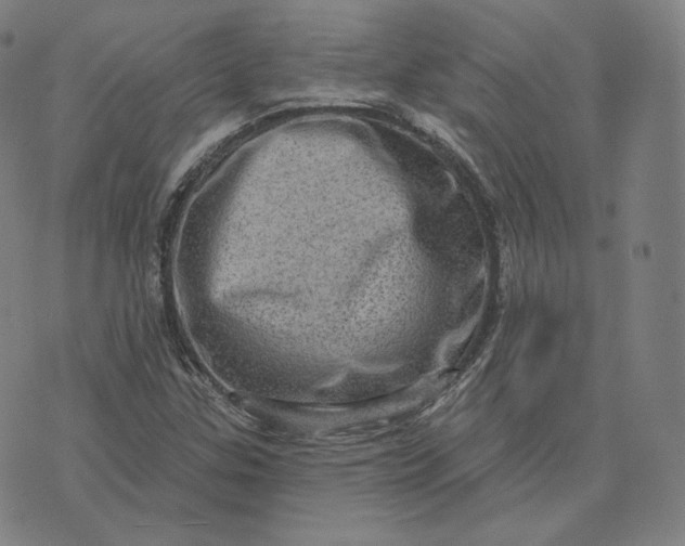 X0000076321307200610161634