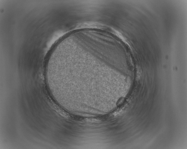 X0000076321312200610161634