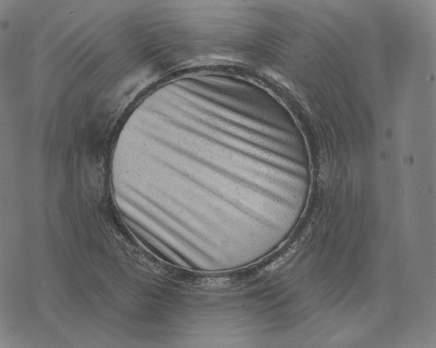 X0000076321313200610161634