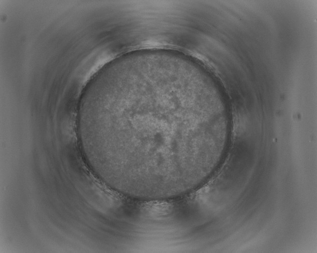 X0000076321314200610161634