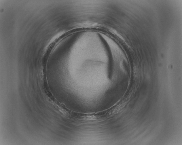 X0000076321315200610161634