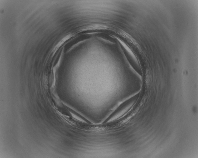 X0000076321321200610161634