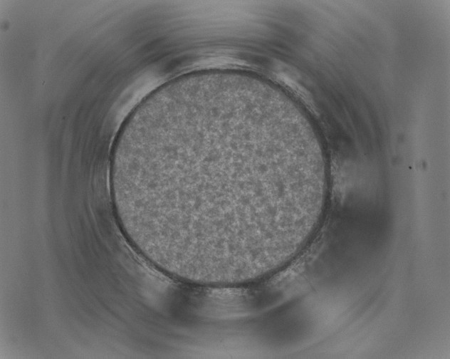 X0000076321322200610161634