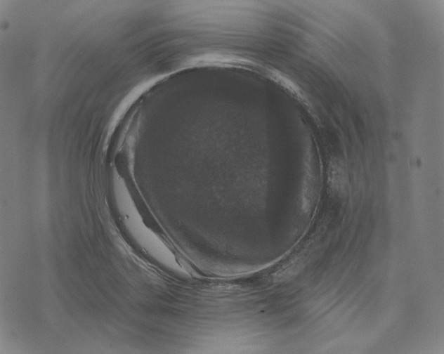 X0000076321323200610161634