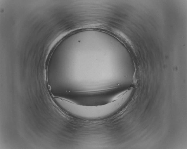 X0000076321324200610161634