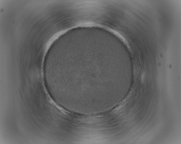 X0000076321327200610161634