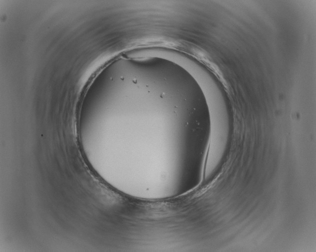 X0000076321328200610161634