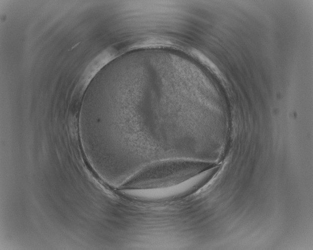 X0000076321329200610161634