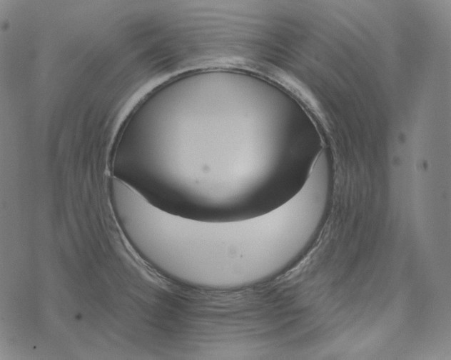 X0000076321332200610161634