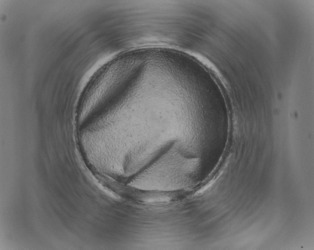 X0000076321333200610161634