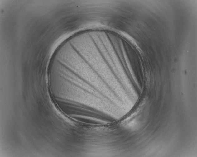 X0000076321335200610161634