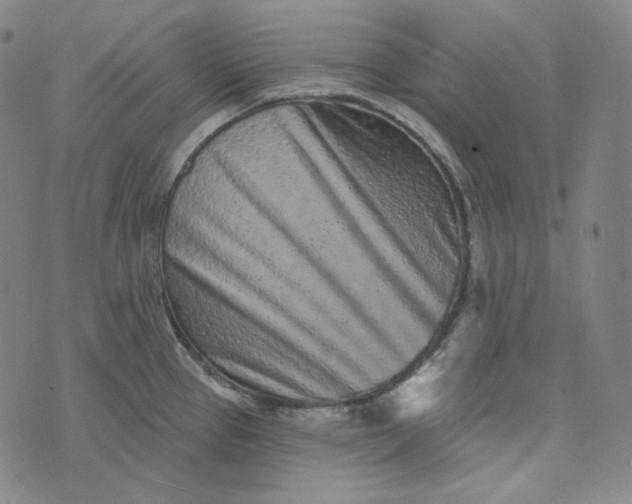 X0000076321337200610161634