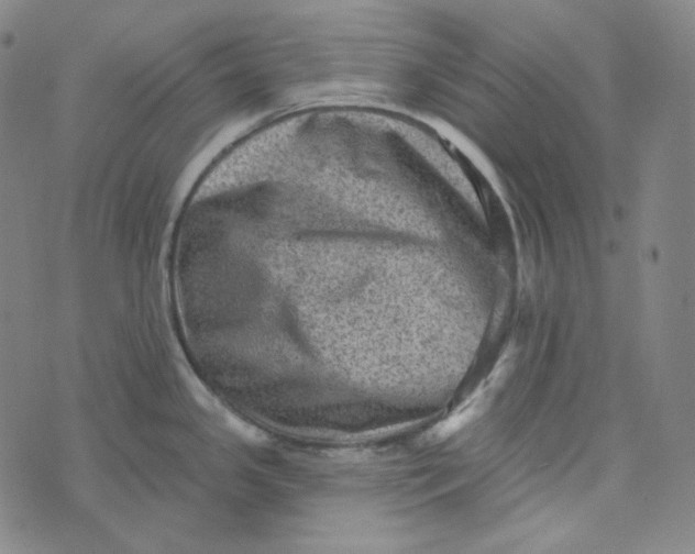 X0000076321341200610161634