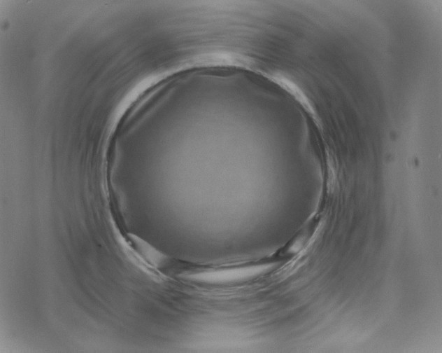 X0000076321342200610161634