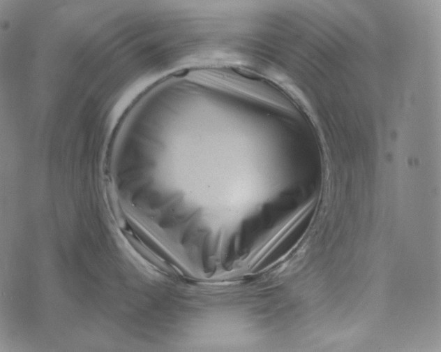 X0000076321344200610161634