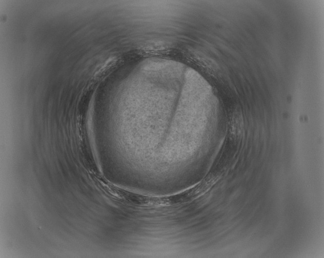 X0000076321346200610161633