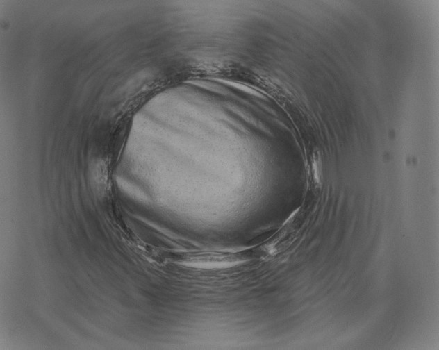 X0000076321347200610161633