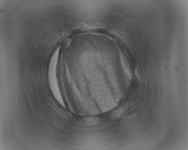 X0000076321348200610161633