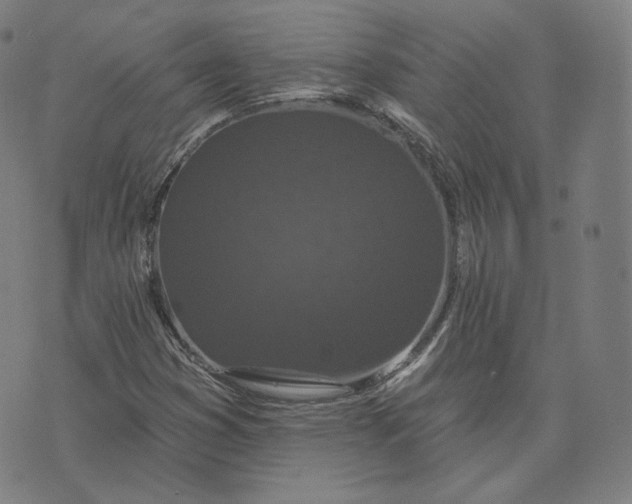 X0000076321353200610161633