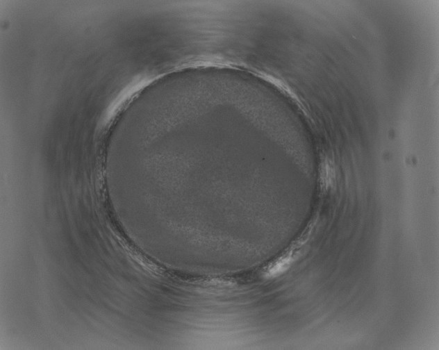 X0000076321359200610161633