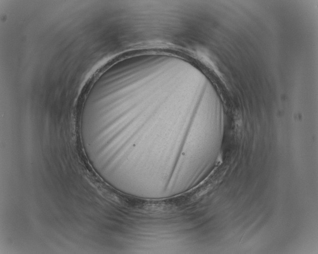 X0000076321364200610161633