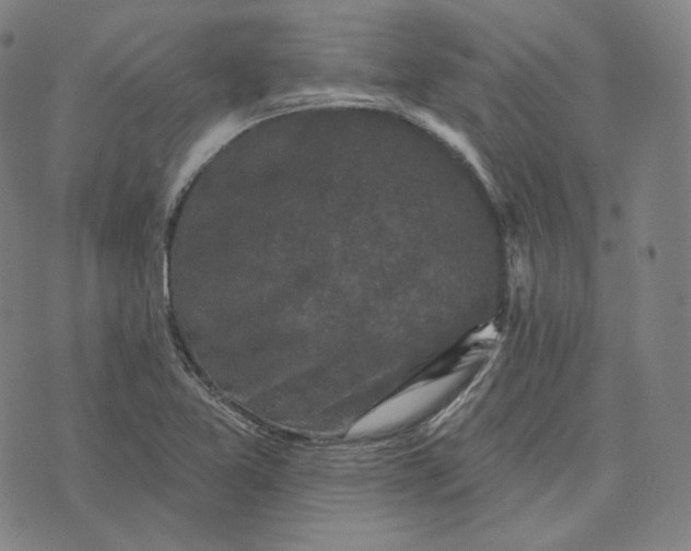 X0000076321365200610161633