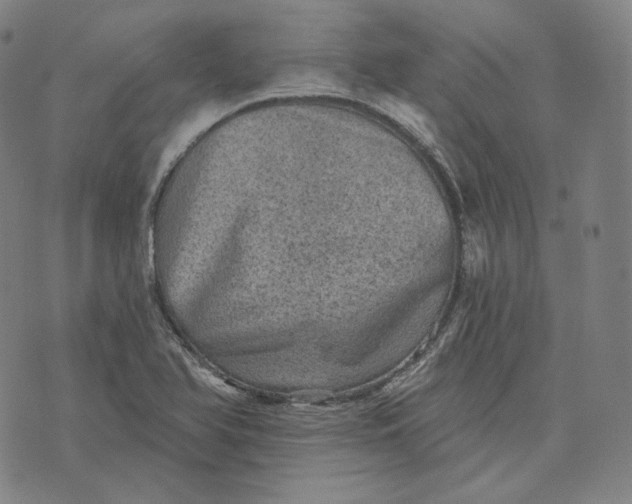 X0000076321366200610161633