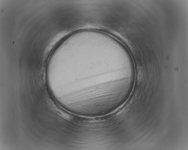 X0000076321367200610161633