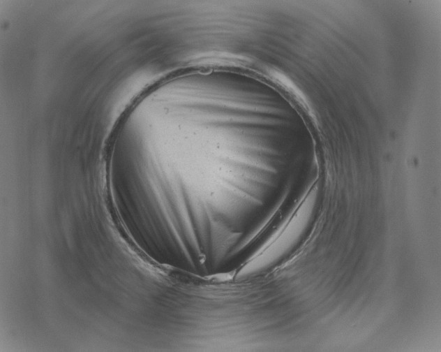 X0000076321376200610161633