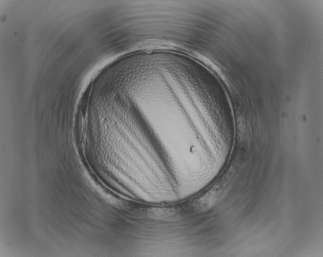 X0000076321379200610161633