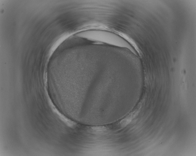 X0000076321383200610161633