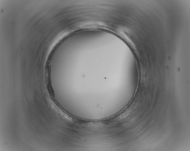 X0000076321384200610161633