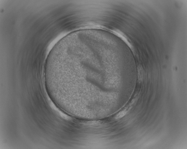 X0000076321387200610161633