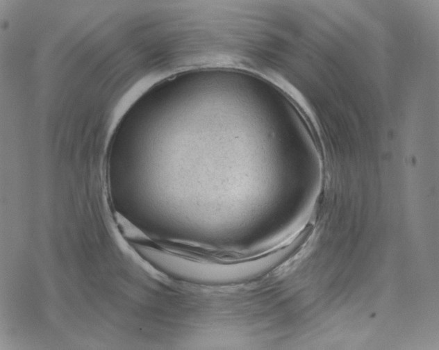 X0000076321389200610161633