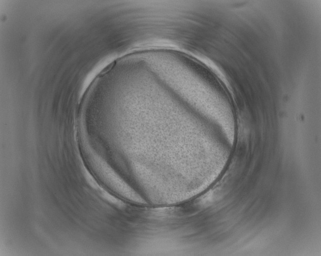 X0000076321390200610161633