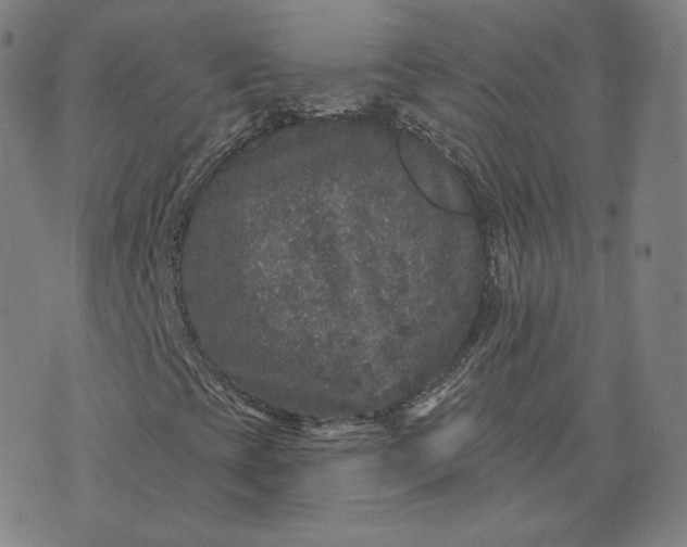 X0000076321393200610161632