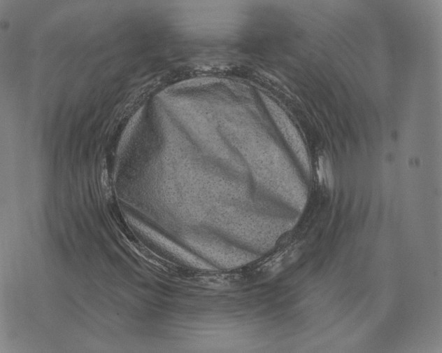 X0000076321396200610161632