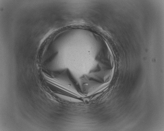 X0000076321400200610161632