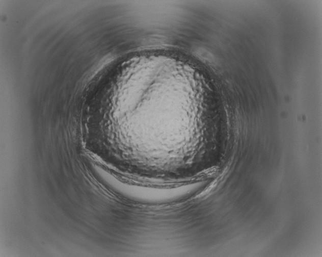 X0000076321401200610161632