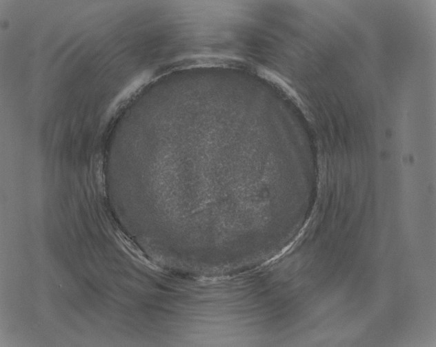 X0000076321403200610161632